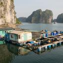 Floating fish farm