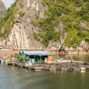 Floating fish farm