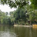 Uncle Ho fishpond