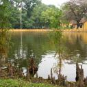 Uncle Ho fishpond