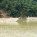 Thung Nai fish nets