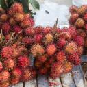 Rambutan