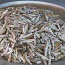 River anchovies