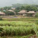 Muong village