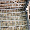 Palm leaves roof