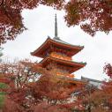 Kyoto Kiyomiyu Temple