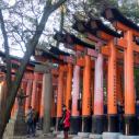 Kyoto Fushimi Inari temple