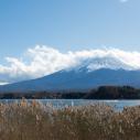 Fuji Yama viewed from Kawaguchiko