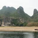 Li river bank farmer