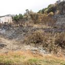 Corse - incendie