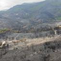 Corse - incendie