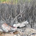 Corse - incendie