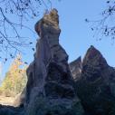 Stone forest
