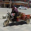 Daocheng - local driver