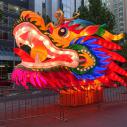 Chinese dragon