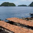 Banda Neira Gunung fish drying at market