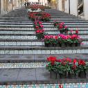 Caltagirone - Scalinata di Santa Maria del Monte