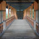 Punakha dzong bridge