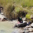 Laundry in Pho Chhu river