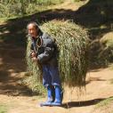 Farmer in Gangtey
