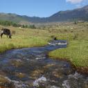Phobjikha valley alpine stream