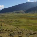 Phobjikha valley wetland