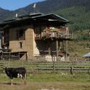 Old farm in Phobjikha valley
