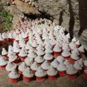 Mebar Tsho little stupas