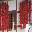 Drying chili