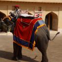 Local taxi, Amber Fort, Jaipur
