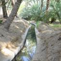Al Ain Oasis