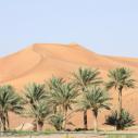 Dune near Al Ain