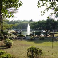 Garden on Lotus Hill