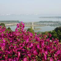 View from Lotus Hill