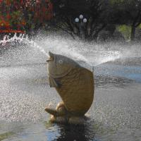 Carp fountain on Lotus Hill