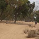 Buggy dans les dunes