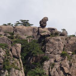Monkey rock