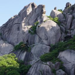 Turtle south face trail