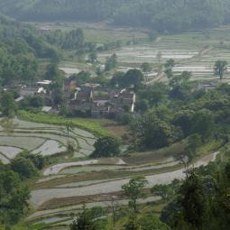 Rice fields near Xieli