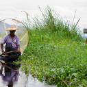 Fisherman on Inle lake