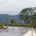 Bamboo bridge