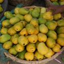 Diamond mangoes