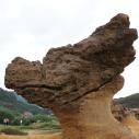 Dog rock