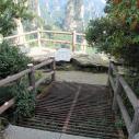 Tianzi viewpoint