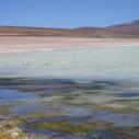 Laguna Blanca