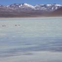 Laguna Blanca