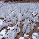 Icicles at 4900 meters