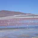 Laguna Colorada