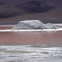 Laguna Colorada