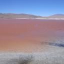 Laguna Colorada